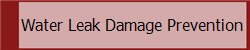 Water Leak Damage Prevention